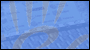 Our banner